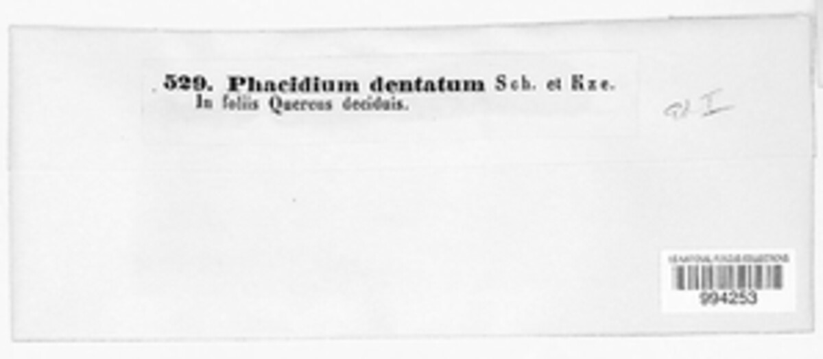 Coccomyces dentatus image
